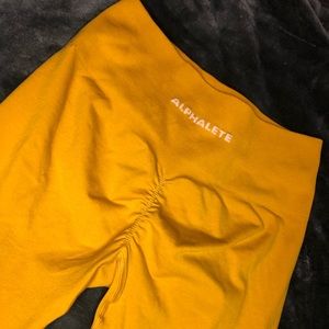 Alphalete Amplify in Golden Hour